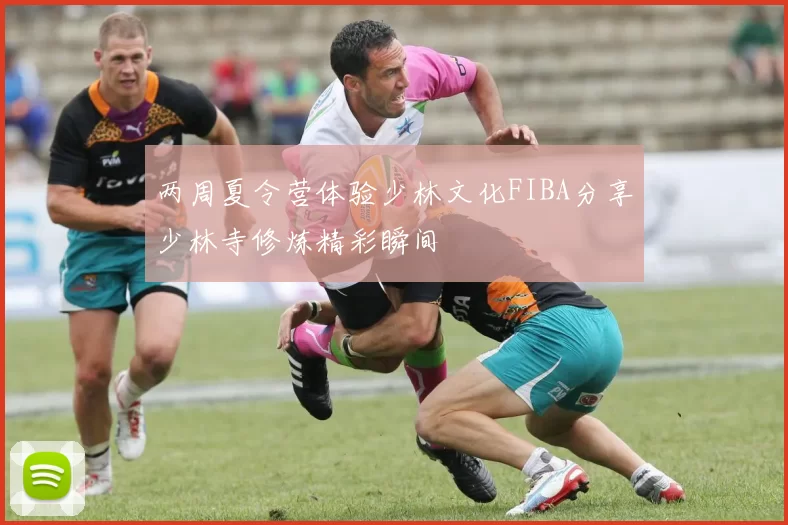 两周夏令营体验少林文化FIBA分享少林寺修炼精彩瞬间