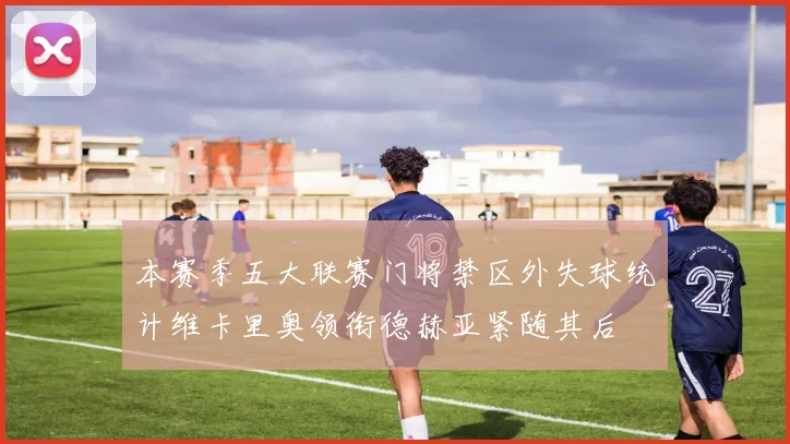 本赛季五大联赛门将禁区外失球统计维卡里奥领衔德赫亚紧随其后